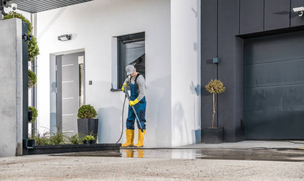 Best Gutter Cleaning and Brightening in La Grange, KY